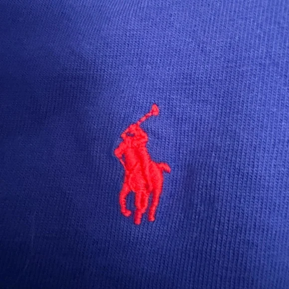 Polo by Ralph Lauren Blue and Navy Kids Long Sleeve Shirt - Picture 3 of 7